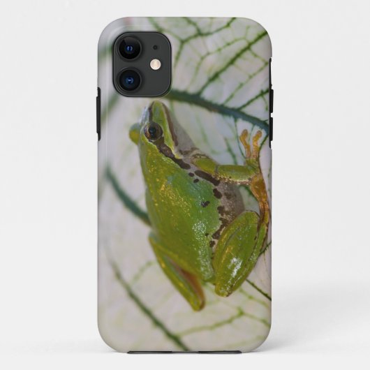 Coques Case-Mate iPhone Grenouille des arbres du Pacifique sur les fleurs (Dos)