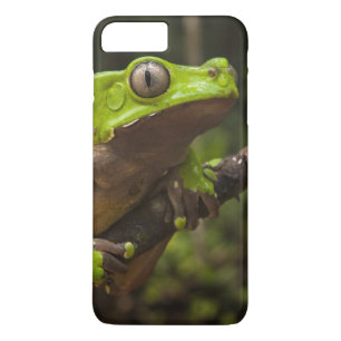 Etui iPhone Case-Mate grenouille géante à feuilles (Phyllomedusa bicolor