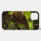 Coques Case-Mate iPhone Grenouille géante Phyllomedusa de feuille (Verso (horizontal))