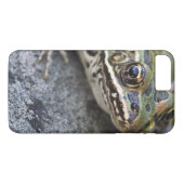 Coques Case-Mate iPhone grenouille léopard du Nord, île de la voie maritim (Dos (Horizontal))