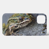 Coques Case-Mate iPhone Grenouille léopard du nord, Île transparente, (Verso (horizontal))