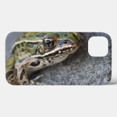 Coques Case-Mate iPhone Grenouille léopard du nord, Île transparente, (Verso (horizontal))