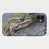 Coques Case-Mate iPhone Grenouille léopard du nord, Île transparente, (Dos (Horizontal))
