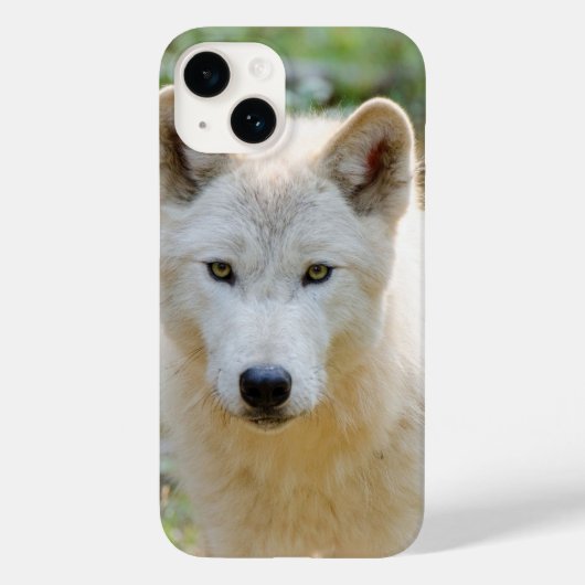 Coques Case-Mate iPhone Grey Wolf, Canadian Wildlife Photography (Verso)