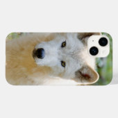 Coques Case-Mate iPhone Grey Wolf, Canadian Wildlife Photography (Verso (horizontal))