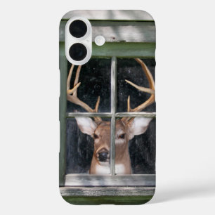 Coques iPhone 16 gros dollar dans la fenêtre rustique