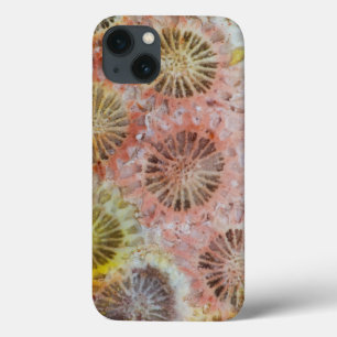 Case-Mate iPhone Case Gros plan de corail rose