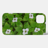 Coques Case-Mate iPhone Gros plan de cornouiller à fleurs blanches (Verso (horizontal))