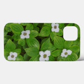 Coques Case-Mate iPhone Gros plan de cornouiller à fleurs blanches (Verso (horizontal))