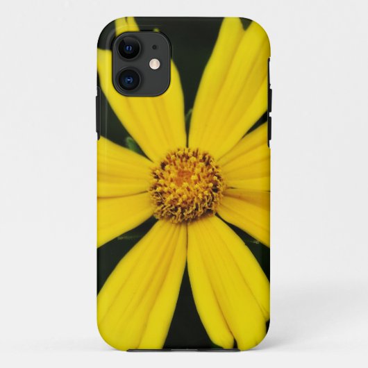 Coques Case-Mate iPhone Gros plan de la fleur de Cosmos jaune (Dos)