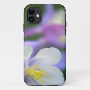 Coques Pour iPhone Gros plan de la fleur de l'Ancolie du Colorado.