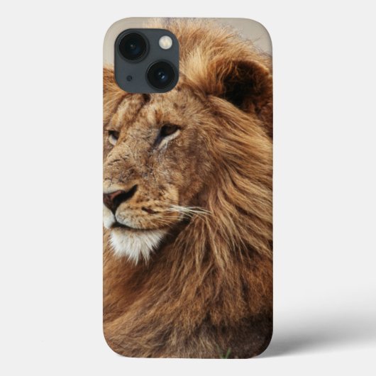 Coques Case-Mate iPhone Gros plan de lion mâle (Verso)