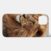 Coques Case-Mate iPhone Gros plan de lion mâle (Verso (horizontal))