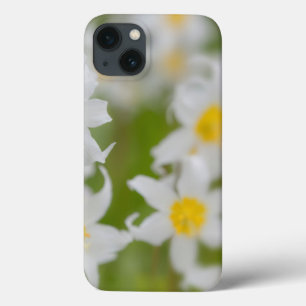 Etui iPhone 13 Gros plan de lys avalanche