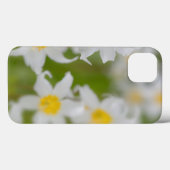 Coques Case-Mate iPhone Gros plan de lys avalanche (Verso (horizontal))