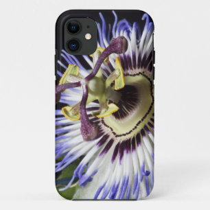 Etui iPhone Case-Mate Gros plan de Passionflower (MR)