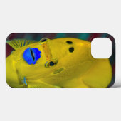 Coques Case-Mate iPhone Gros plan de poisson-ange (Verso (horizontal))