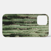 Coques Case-Mate iPhone Gros plan du plante de cactus vert (Verso (horizontal))