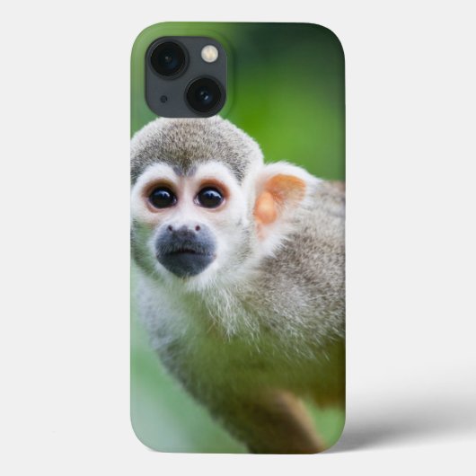 Coques Case-Mate iPhone Gros plan d'un singe écureuil commun (Verso)