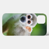 Coques Case-Mate iPhone Gros plan d'un singe écureuil commun (Verso (horizontal))