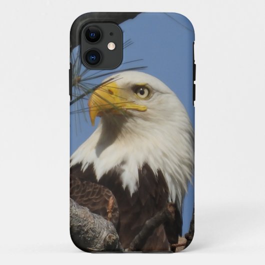 Coques Case-Mate iPhone Gros plan sur l'aigle chauve (Dos)