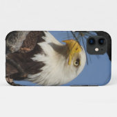Coques Case-Mate iPhone Gros plan sur l'aigle chauve (Dos (Horizontal))