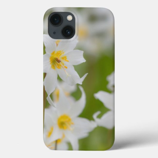 Coques Case-Mate iPhone Gros plan sur les lys des avalanches (Verso)