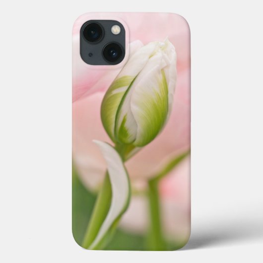 Coques Case-Mate iPhone Gros plan sur tulipe et bourgeon (Verso)