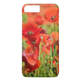 Coque iPhone 7 Plus Gros plan sur un champ de coquelicots, France