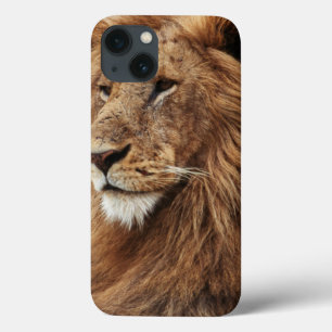 Etui iPhone Case-Mate Gros plan sur un lion mâle