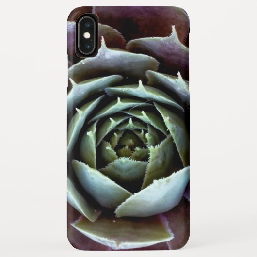 Coques Case-Mate iPhone Gros plan sur une succulente violette (Dos)