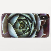 Coques Case-Mate iPhone Gros plan sur une succulente violette (Dos (Horizontal))