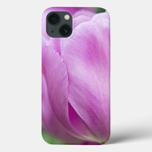 Coques Case-Mate iPhone Gros plan sur une tulipe (Verso)