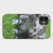 Coques Case-Mate iPhone Groupe de chatons adorables. (Dos (Horizontal))