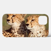 Coques Case-Mate iPhone Guépard Allongé Dans L'herbe, Ngorongoro Conservat (Verso (horizontal))