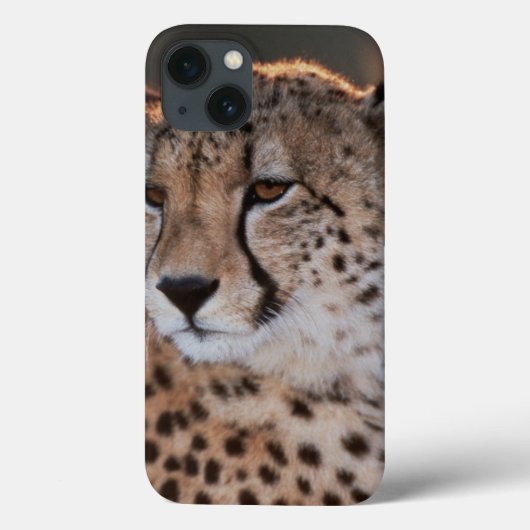 Coques Case-Mate iPhone Guépard regardant loin (Verso)