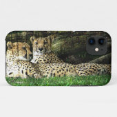 Coques Case-Mate iPhone Guépards Lounging la grunge (Dos (Horizontal))