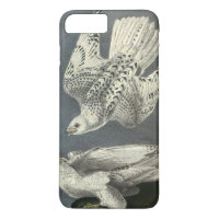 Gyrfalcon par Audubon