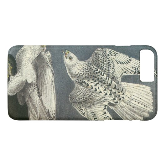 Coques Case-Mate iPhone Gyrfalcon par Audubon (Dos (Horizontal))