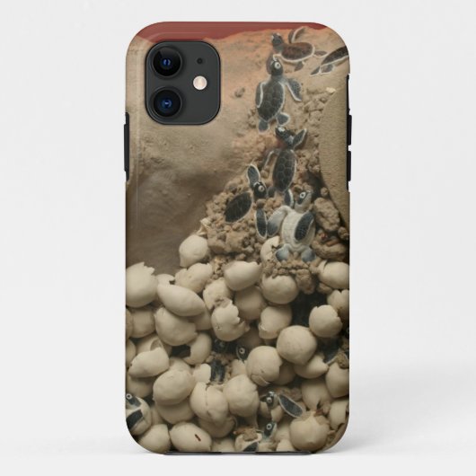 Coques Case-Mate iPhone Hachure d'oeufs de tortue de bébé (Dos)