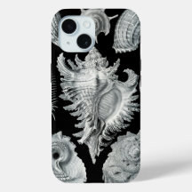 Haeckel Négatif