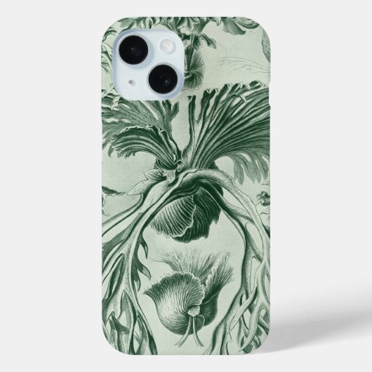 Coques Case-Mate iPhone Haeckel vintage (Verso)