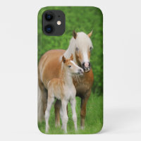 Haflinger Horse mignon Bébé Foal Baiser Mum Pony P