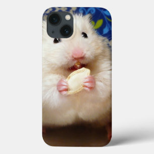 iPhone 13 Coque Hamster syrien en mousse Kokolinka