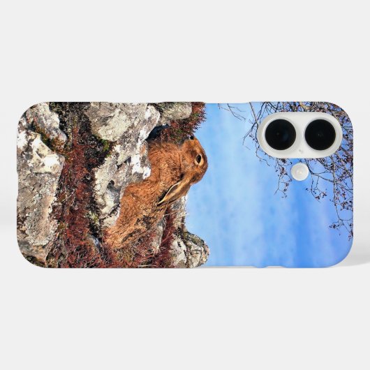 COQUES Case-Mate iPhone HARE (Verso (horizontal))
