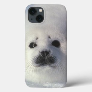 Etui iPhone Case-Mate Harp seal Phoca groenlandica) A week-old harp
