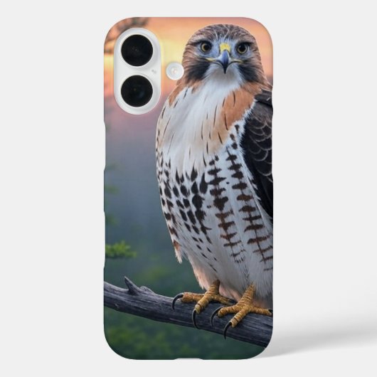 Coques Case-Mate iPhone Hawk au coucher du soleil (Verso)