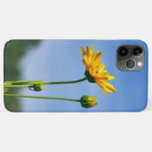 Coques Case-Mate iPhone Helenium jaune Daisy (Dos (Horizontal))