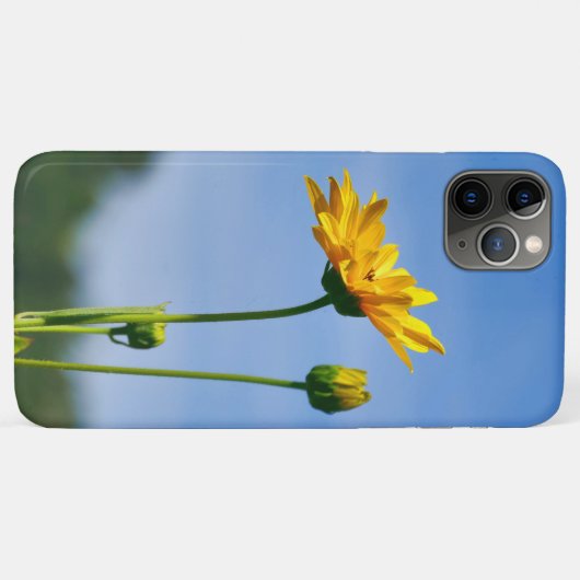 Coques Case-Mate iPhone Helenium jaune Daisy (Dos (Horizontal))