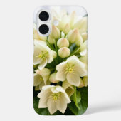 Coques Case-Mate iPhone Hellebores doux (Verso)